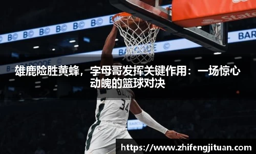 emc易倍