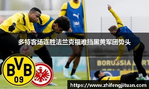 emc易倍体育官方