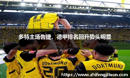 emc易倍体育官方