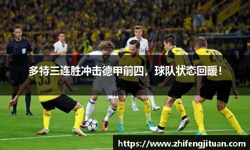 emc易倍·体育