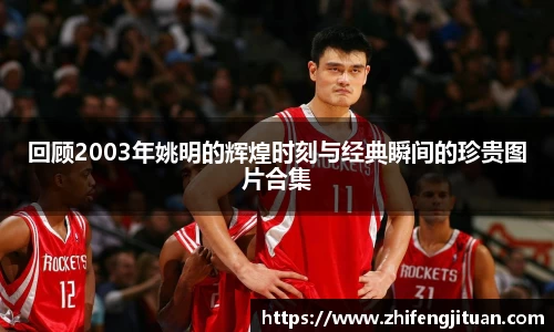 emc易倍·体育