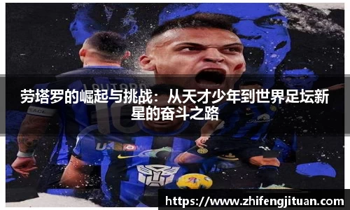 emc易倍体育