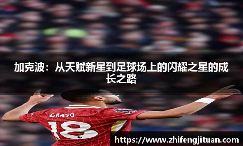 emc易倍体育