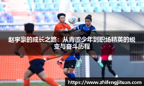 多宝电竞官网