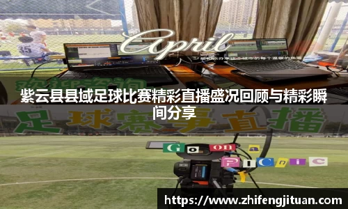 多宝电竞